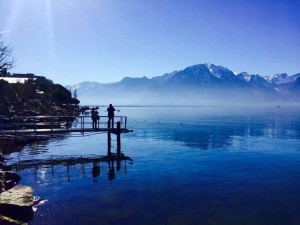 13055158 1195704040441784 8362018853039154857 o