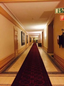 13055203 1195704330441755 6212465937836864853 o