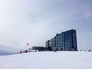 13063093 1195704417108413 2688090418877315831 o   