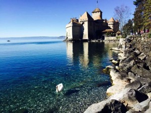 13071705 1195704000441788 752140495158659178 o   