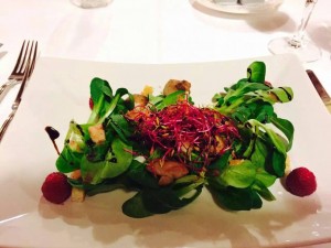 13071726 1195703867108468 4278602411269841607 o   