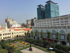 13087091 1195704527108402 2998188745245930098 o   