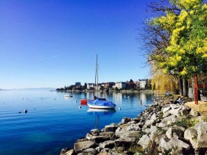 13116113 1195704137108441 3065592169521163419 o   